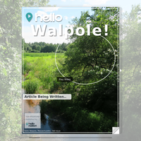 Image for Walpole