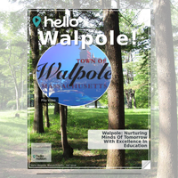 Image for Walpole