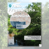 Image for Framingham