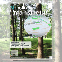 Image for Mansfield