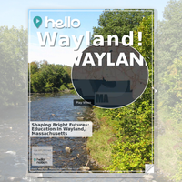 Image for Wayland