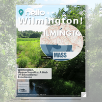 Image for Wilmington