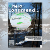 Image for Longmeadow