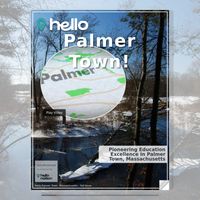 Image for Palmer Town