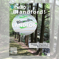 Image for Blandford