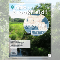 Image for Brookfield