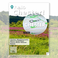 Image for Chester