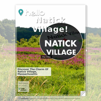 Image for Natick Village