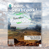 Image for Seabrook