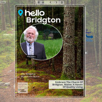 Image for Bridgton