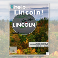 Image for Lincoln