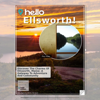 Image for Ellsworth