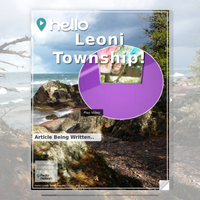 Image for Leoni Township