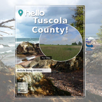 Image for Tuscola County