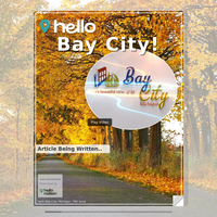 Image for Bay City