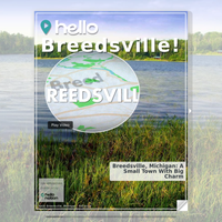 Image for Breedsville