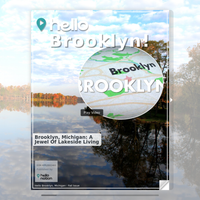 Image for Brooklyn