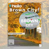 Image for Brown City