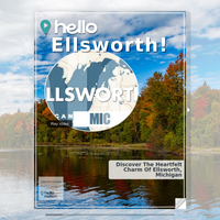 Image for Ellsworth