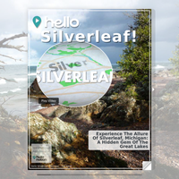 Image for Silverleaf