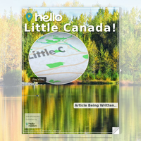 Image for Little Canada