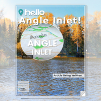 Image for Angle Inlet