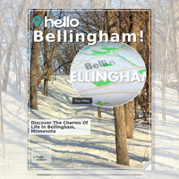 Image for Bellingham