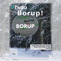 Image for Borup