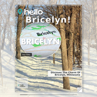 Image for Bricelyn