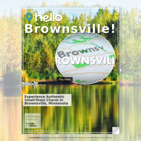 Image for Brownsville