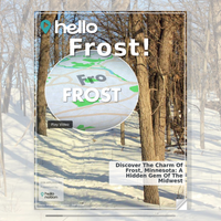 Image for Frost