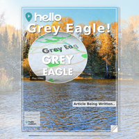 Image for Grey Eagle