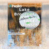 Image for Lake Bronson