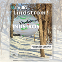 Image for Lindstrom