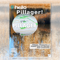 Image for Pillager