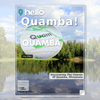 Image for Quamba