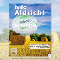 Image for Aldrich