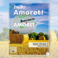 Image for Amoret