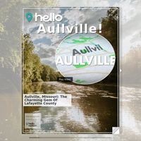 Image for Aullville