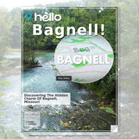 Image for Bagnell