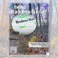 Image for Bakersfield