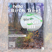 Image for Birch Tree