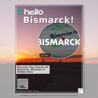 Image for Bismarck