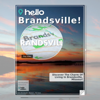 Image for Brandsville