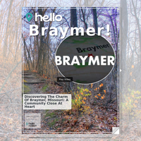 Image for Braymer