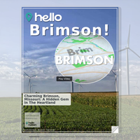 Image for Brimson