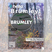 Image for Brumley