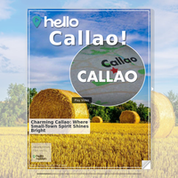 Image for Callao