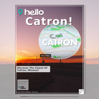 Image for Catron