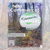 Image for Commerce